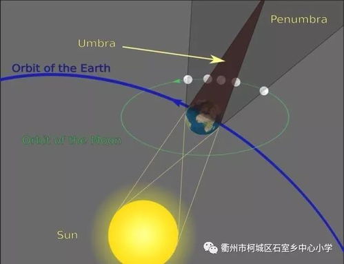 探索神奇的只转不走的轮子，从物理原理到生活应用