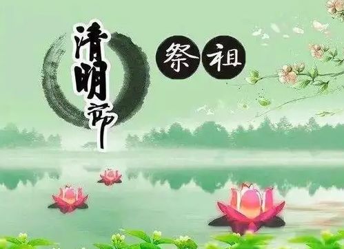 清明时节寄哀思—短信传情，共叙思念之情