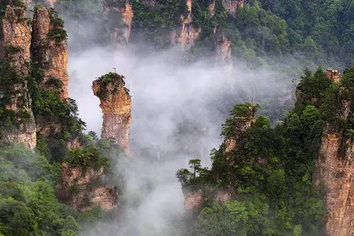 走进张家界的奇幻世界—解读景区门票的奥秘